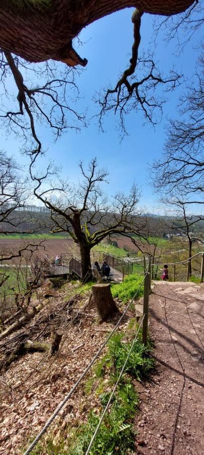 Froschkoenig Mit Teichblick Apartment Trendelburg Luaran gambar