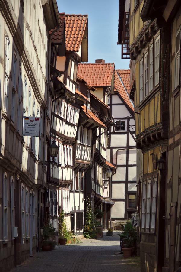Froschkoenig Mit Teichblick Apartment Trendelburg Luaran gambar